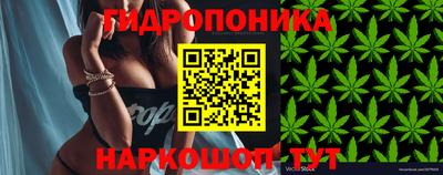 дмт Партизанск